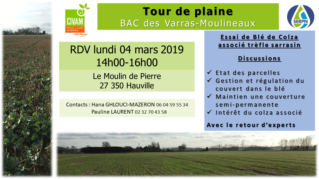 Invit TDP 4 mars  Hauville