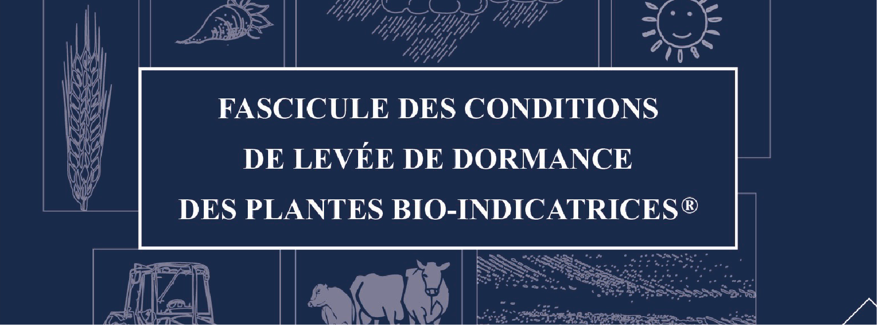 Panse Bete 39 Avril 2025 Trucs Et Astuces Fascicule