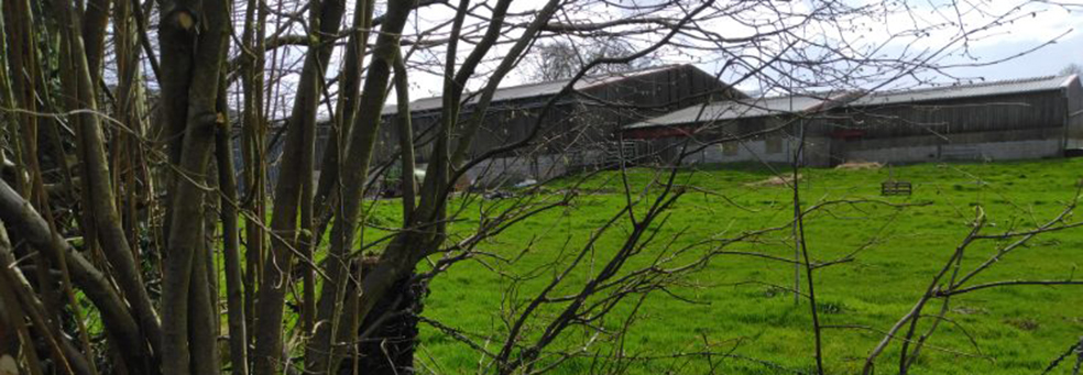 ferme de dominique lq