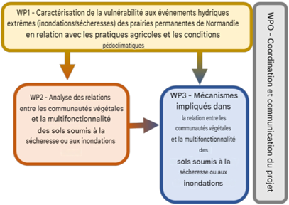 IMAGE 2 en ce moment panse bete 43