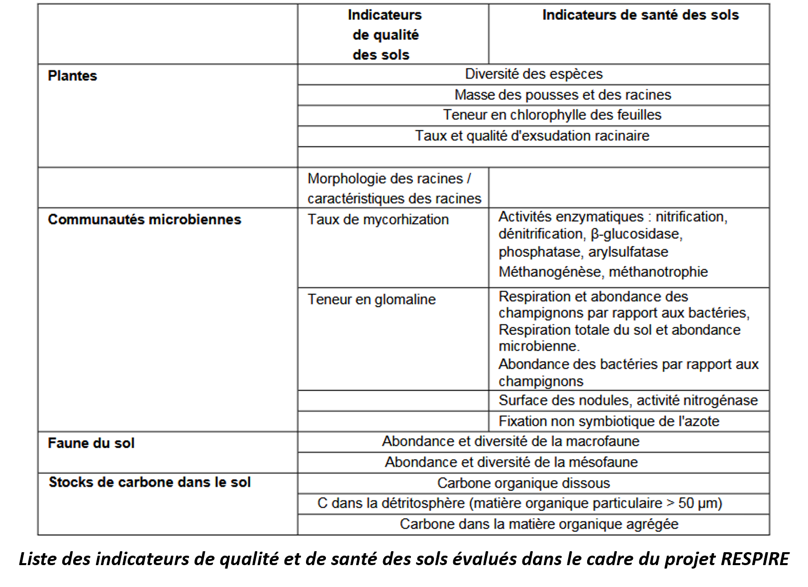 IMAGE 4 en ce moment panse bete 43